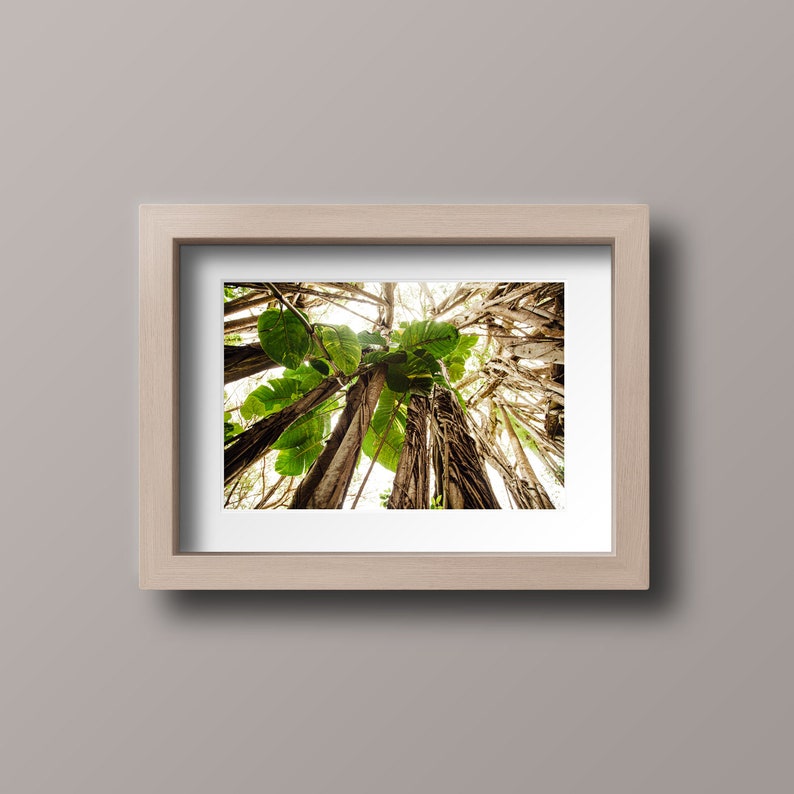 Printable Tropical Hawaiian Wall Art, Boho Jungle Wall Art, Surf Shack