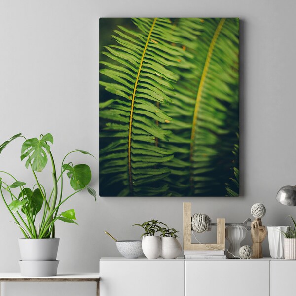 Fern Print - Etsy