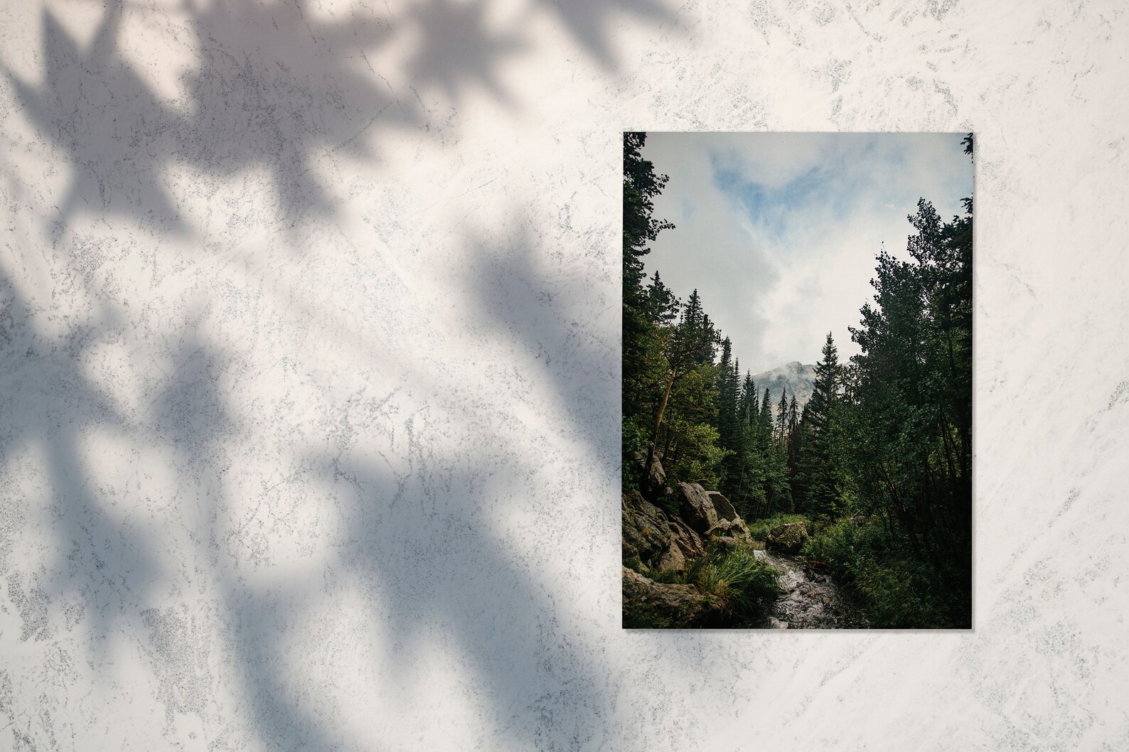 Printable Colorado Landscape Wall Art Colorado Mountains Etsy