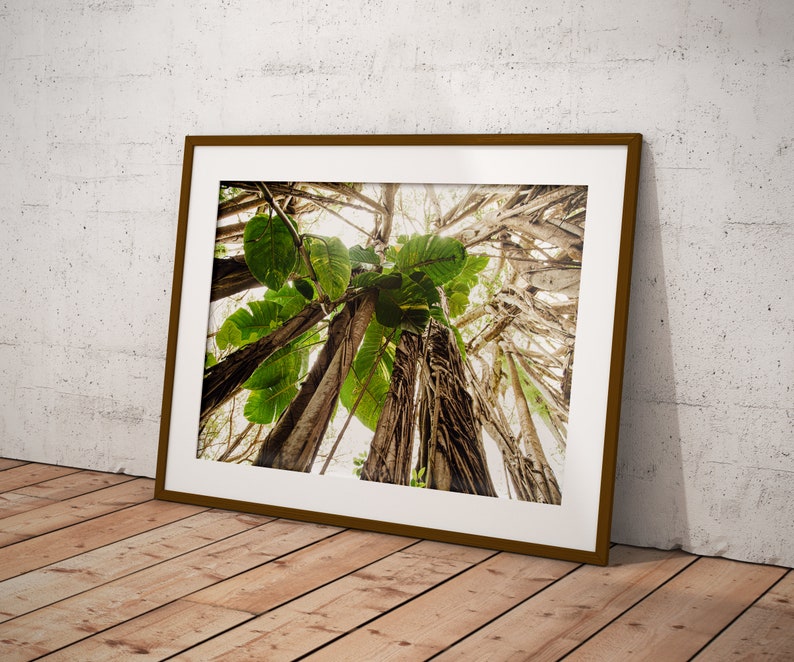 Printable Tropical Hawaiian Wall Art, Boho Jungle Wall Art, Surf Shack