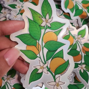 Calamansi Vapor Wave Sticker