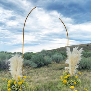 Iron Wedding Arch: Party Backdrop Flower Stand