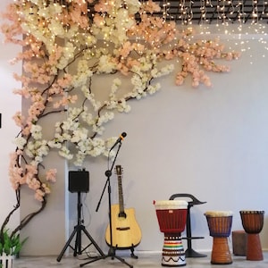 Pu&ograve; includere: Un palco con un albero di ciliegio bianco e rosa, un microfono, una chitarra, un altoparlante, un leggio e tre djembe. Il palco &egrave; decorato con luci aeree bianche.