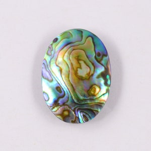 Abalone Shell - Natural Abalone Shell - Abalone Shell Gemstone - Multi Abalone Shell - Loose Abalone Shell - Abalone Shell Cabochon - Shell