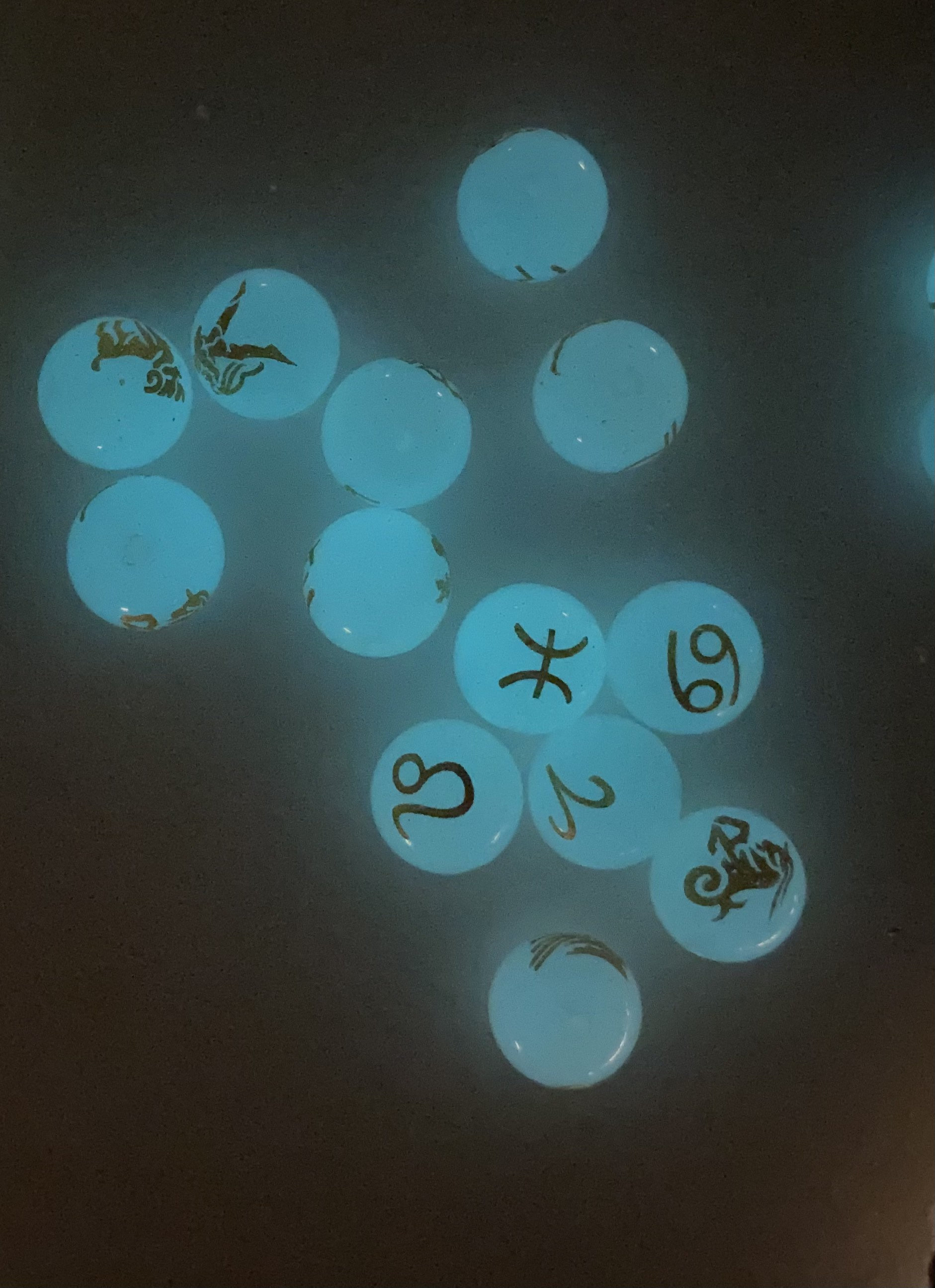 Zodiac Bead / Luminous Glow Astrology Sign Beads / 1Pc