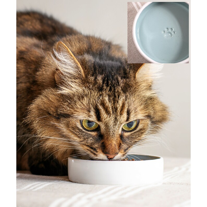 Cat Bowl Ceramic Cat Bowl Set Handmade White Bowls Food and Etsy