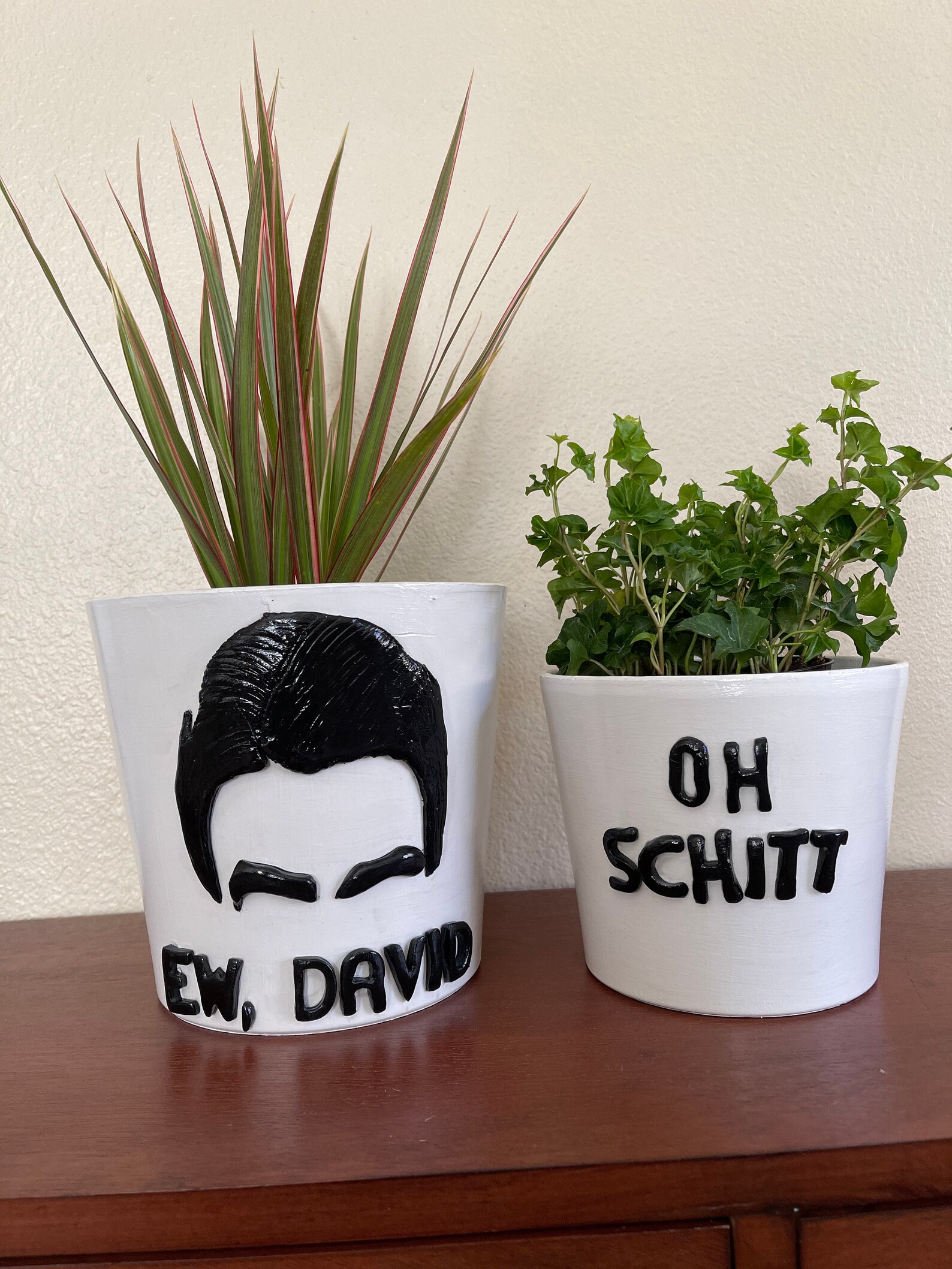 Schitt's Creek Planter Funny plant pots plant holder Etsy