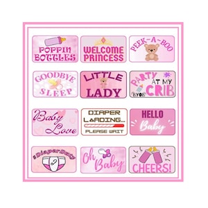 May include: Pink and white baby shower party signs with various phrases, including "Popin Bottles", "Welcome Princess", "Peek-A-Boo", "Goodbye Sleep", "Little Lady", "Party At My Crib", "Baby Love", "Diaper Laading... Please Wait", "Hello Baby", "Diaper Duty", "Oh Baby", and "Cheers!"