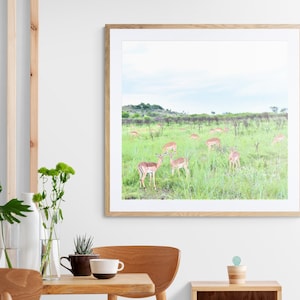 Antelope Print, Animal Print Art, African Nature Print, Printable Wall Art, Digital Download Art, Photo, Nature Wall Art, Printable, Prints