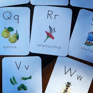 Pollinator ABC Cards, Letter Cards, ABC Cards, Alphabet Flash Cards, ABC Flash Cards, abc homeschool printables