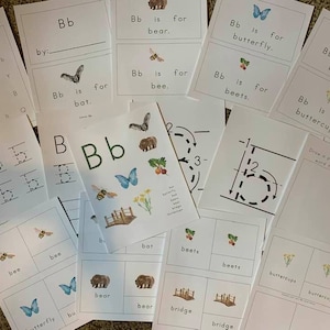 A-M Letter Sound Readers, Poster, Montessori dreiteilige Karten, Handschrift