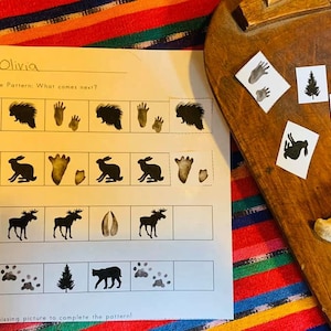 Patterns ans Sorting PreK-1 Tracking and Woodland Animals