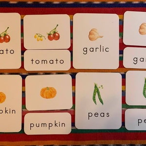 En el huerto Tarjetas de palabras de tres partes en inglés