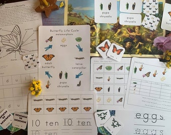Butterfly Life Cycle Early Years