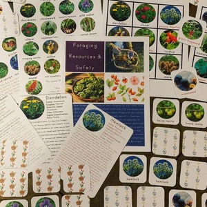 May include: A set of foraging cards with illustrations of plants and text about foraging resources and safety. The cards are organized in a grid pattern and feature a variety of plants, including dandelions, clover, and hemlock.