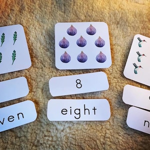 0-20 Cartões numéricos de três partes, cartões numéricos Montessori de 3 partes, cartões numéricos com numeral, quantidade e nome