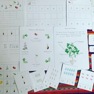 Plant Life Cycle Learn and Play
