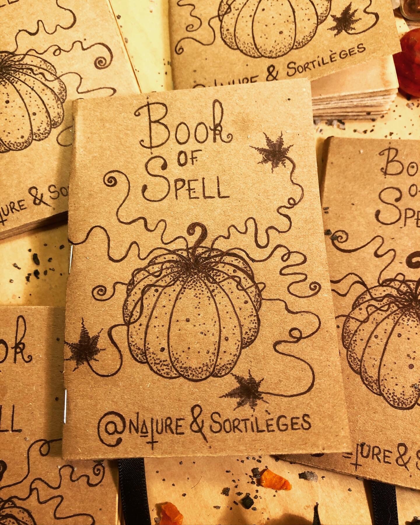 Book Of Spell Pumkin