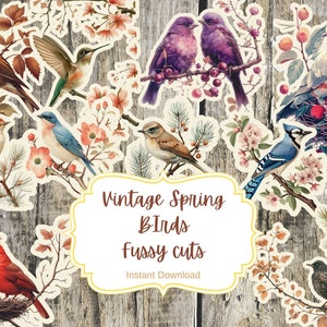 Pássaros de corte exigente, casas de pássaros, florais, vintage, primavera, diário de lixo, álbum de recortes, confecção de cartões, coisas efêmeras, download digital,