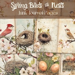 Ongewenste dagboekpagina's, lentevogels en nesten, afdrukbare bloemendagboekpagina's, kortstondige, digitale download, noodlijdend papier, plakboek, ambachten