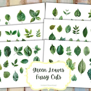90 groene bladeren kieskeurig gesneden op 6 A4 JPG-blad