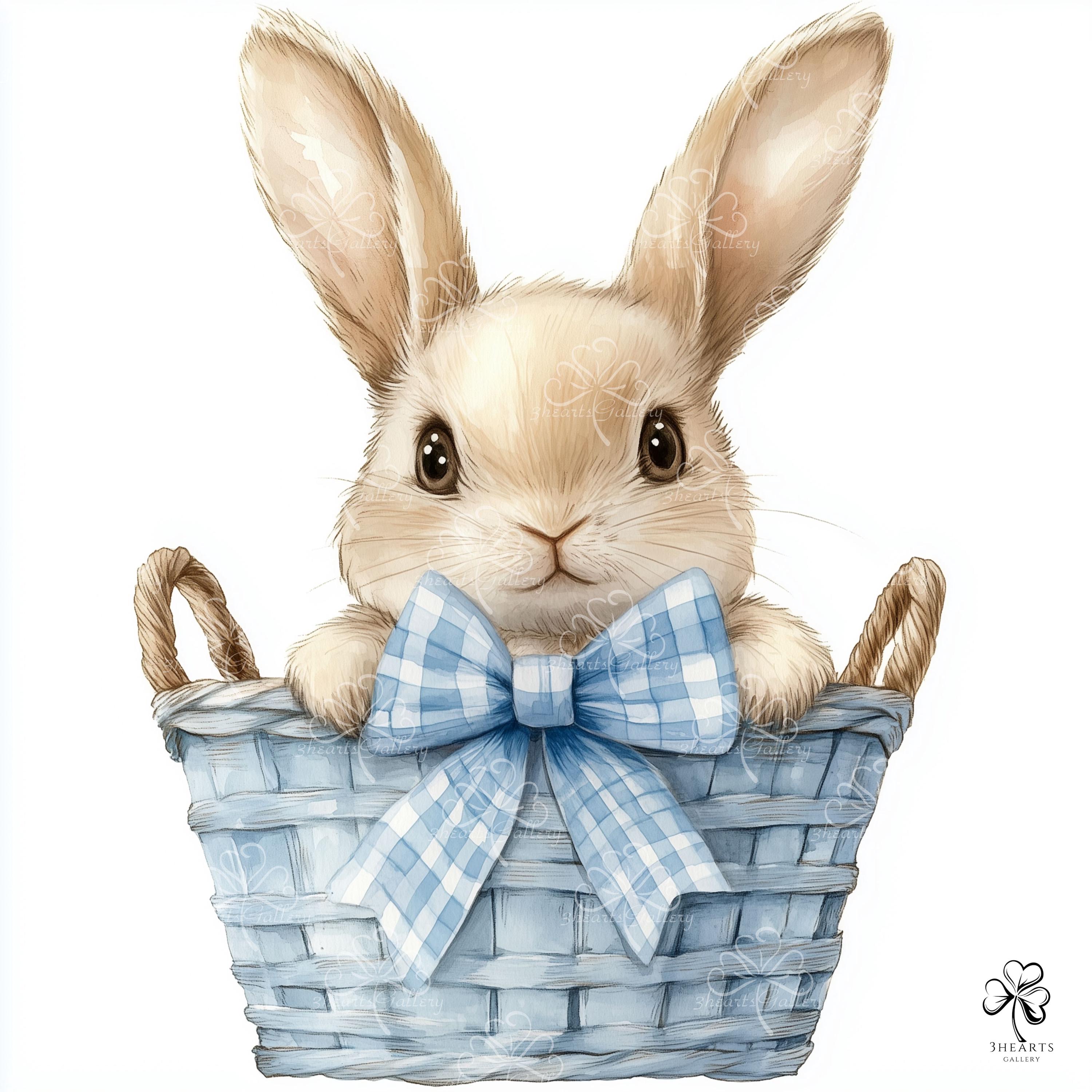 10 Bunny in a Basket Clipart | Gingham Pastel Pink and Blue ...