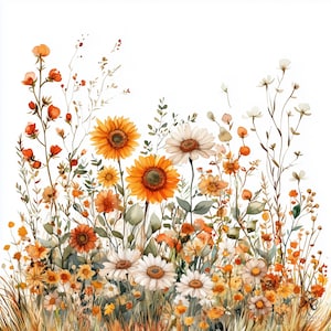 Pode incluir: Uma ilustração em aguarela de um prado de flores silvestres com girassóis laranja vibrantes, margaridas brancas e várias pequenas flores laranja e amarelas com caules e folhas verdes sobre um fundo branco. Um pequeno logótipo de trevo está no canto.