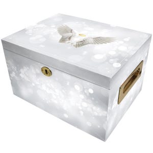 Angel Wings Cremation Urn: Keepsake Memorial Chest (330 Cubic Inches)