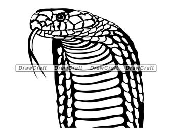 Free Free King Cobra Svg 597 SVG PNG EPS DXF File