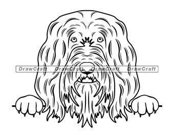 Download Clip Art Art Collectibles Bearded Collie Svg File Layered Mandala Cut File 4 Layers Dog Breed Svg