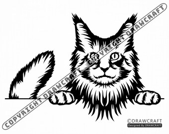 Maine Coon Svg Etsy
