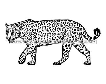 Jaguar Clipart Etsy
