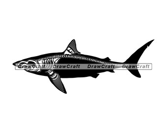 Free Free 143 Shark Skeleton Svg SVG PNG EPS DXF File