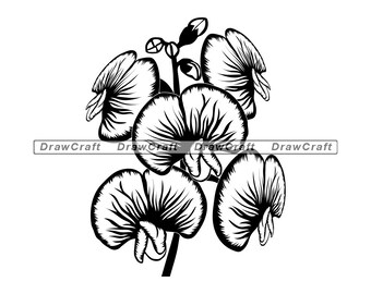 Download Sweet Pea Svg Etsy