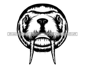 Download Walrus Svg Cut File Eps Dxf Png Walrus Face Svg Commercial Use Svg Clip Art Kids Svg Walrus Shirt Svg Cute Walrus Svg Sea Animal Svg Collage Visual Arts Jewellerymilad Com