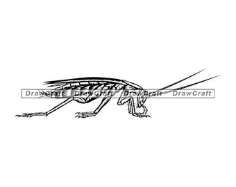 Download Roach Svg Etsy