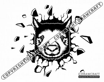 Wombat Svg Etsy