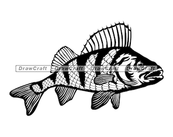 Download Perch Fishing Svg Etsy