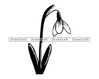 Free Free 201 Snowdrop Svg SVG PNG EPS DXF File