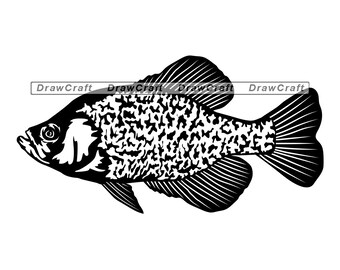 Download Black Crappie Fish Etsy