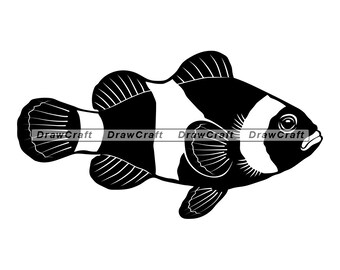 Clown Fish Svg Etsy