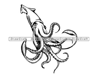 Free Free 303 Squid Svg Free SVG PNG EPS DXF File