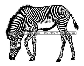 Download Baby Zebra Dxf Etsy