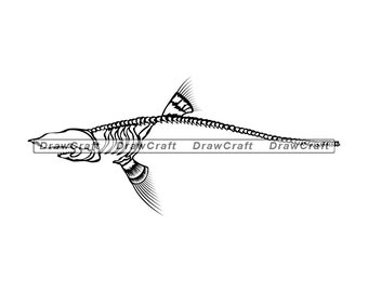 Free Free Shark Skeleton Svg 631 SVG PNG EPS DXF File