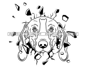 Download Walker Svg Etsy