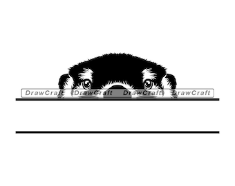 Download Otter Svg Etsy