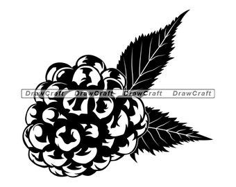 Download Blackberry Svg Etsy