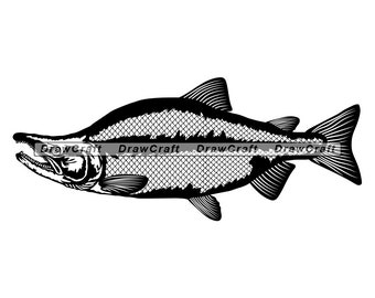 Download Chinook Salmon Svg Etsy