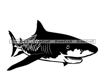 Free Free Nurse Shark Svg 372 SVG PNG EPS DXF File