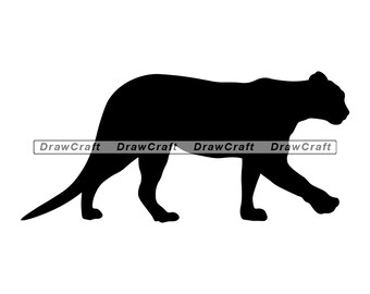 Free Free Mountain Lion Svg 725 SVG PNG EPS DXF File